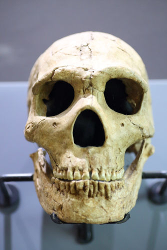 Acredita-se que o homem de Neandertal realizou as primeiras pinturas rupestres da histÃ³ria.