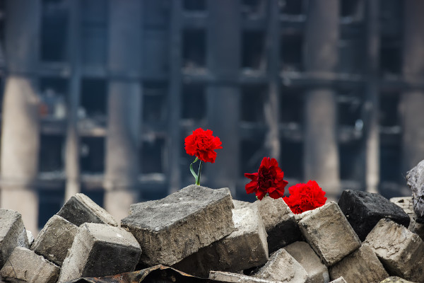 Cravos vermelhos, flores-símbolo da Revolução dos Cravos (1974), em meio a destroços.
