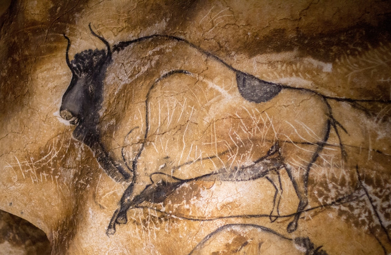 Uma das pinturas encontradas na Caverna de Chauvet, na FranÃ§a, onde estÃ£o as artes rupestres mais antigas do mundo.