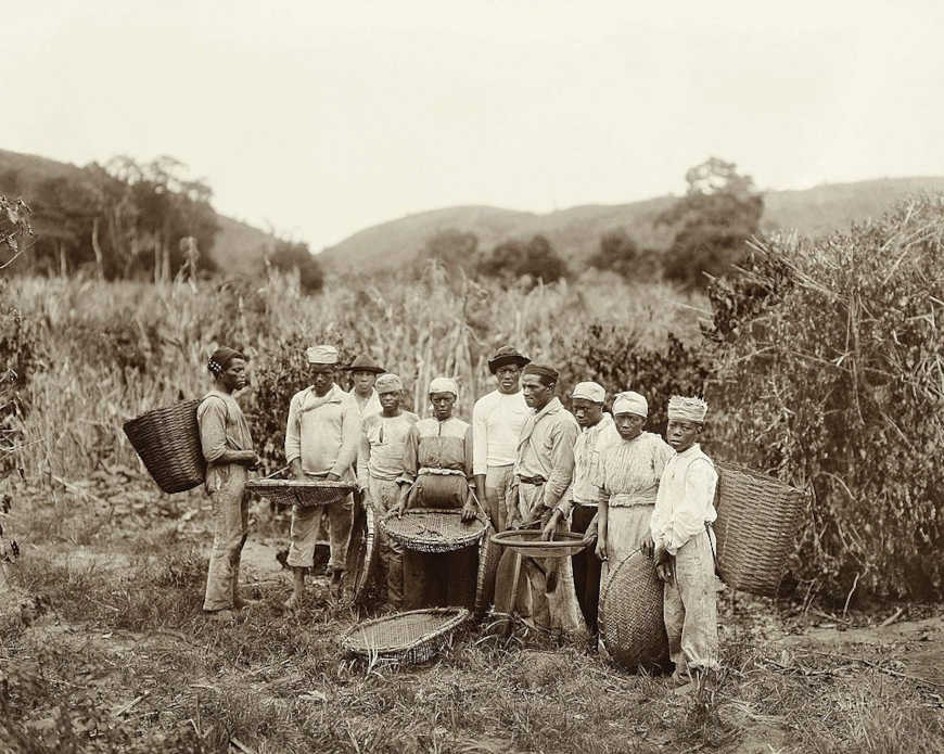 Escravizados em fazenda de cafÃ© em 1882.