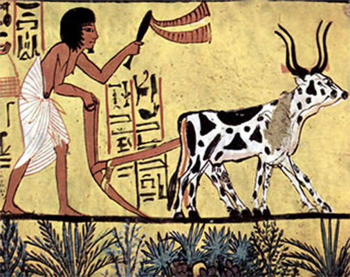A base da economia egípcia era a agricultura